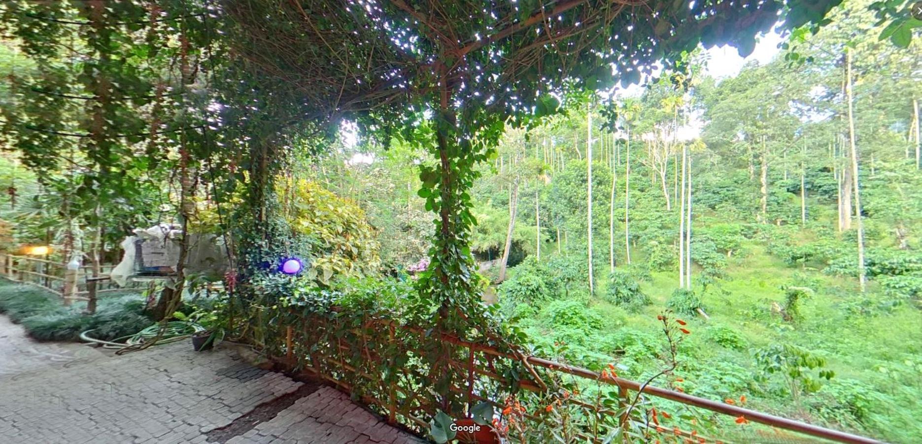 Bed and Breakfast Wayanad Royal Stream Kalpatta Zewnętrze zdjęcie