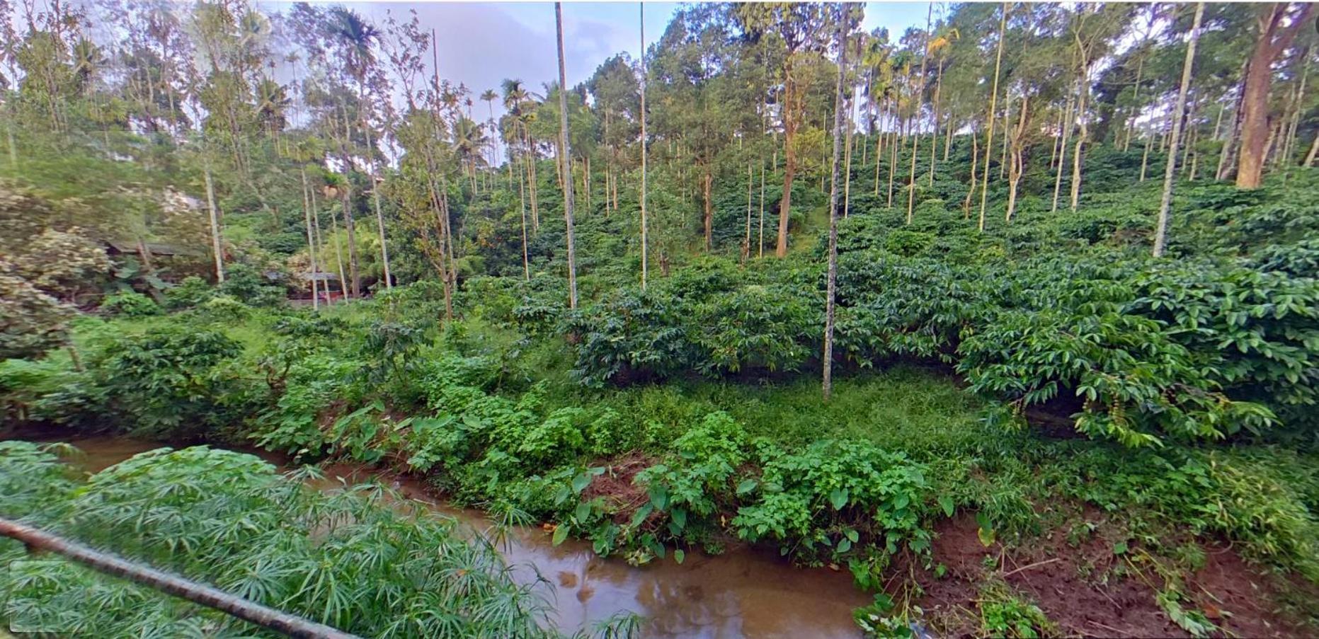 Bed and Breakfast Wayanad Royal Stream Kalpatta Zewnętrze zdjęcie
