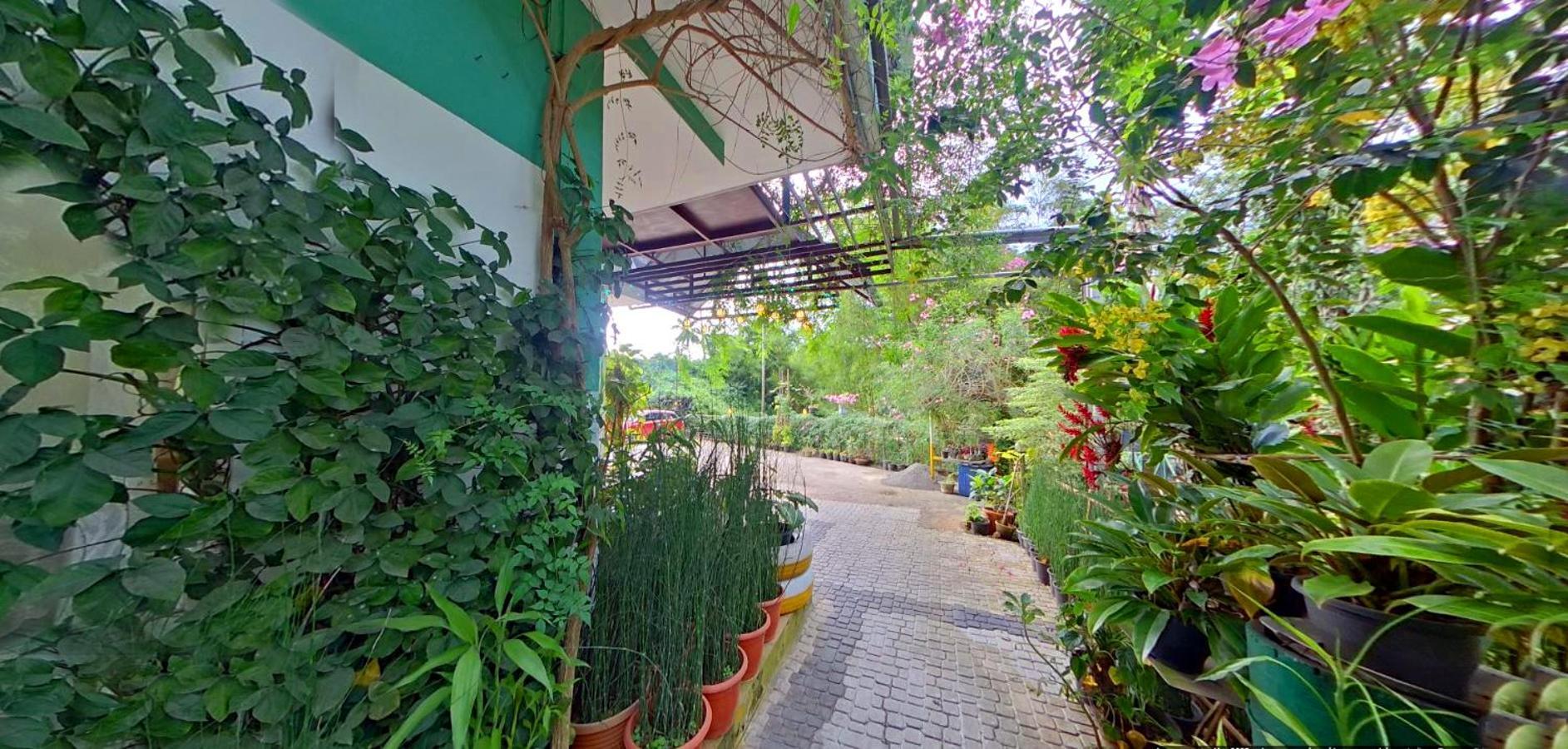 Bed and Breakfast Wayanad Royal Stream Kalpatta Zewnętrze zdjęcie