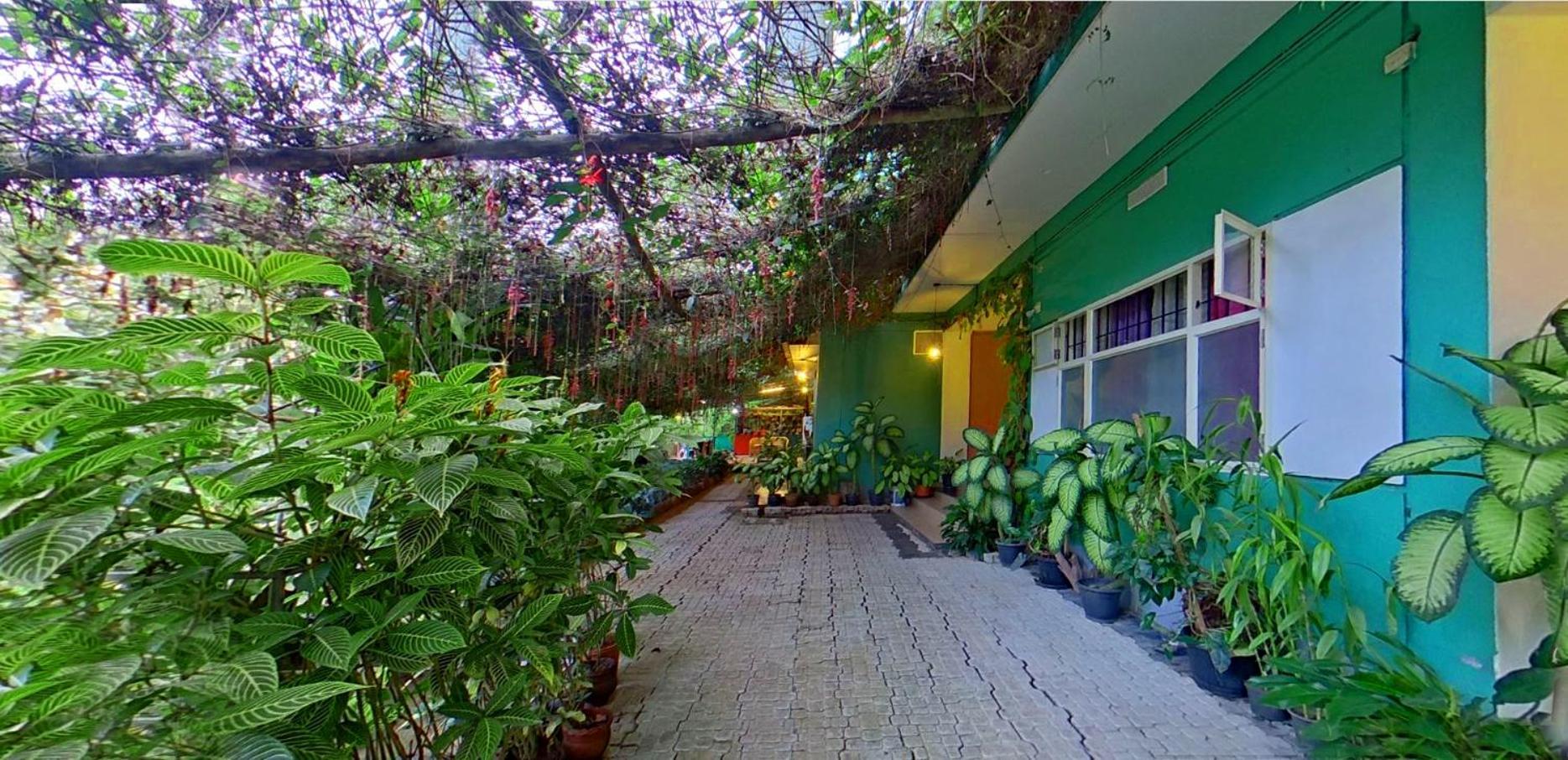 Bed and Breakfast Wayanad Royal Stream Kalpatta Zewnętrze zdjęcie