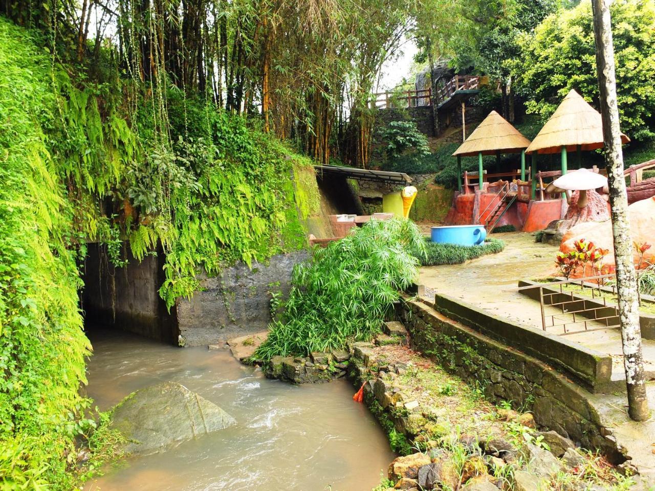 Bed and Breakfast Wayanad Royal Stream Kalpatta Zewnętrze zdjęcie